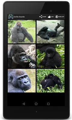 Gorilla Sounds android App screenshot 1