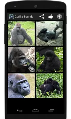 Gorilla Sounds android App screenshot 3